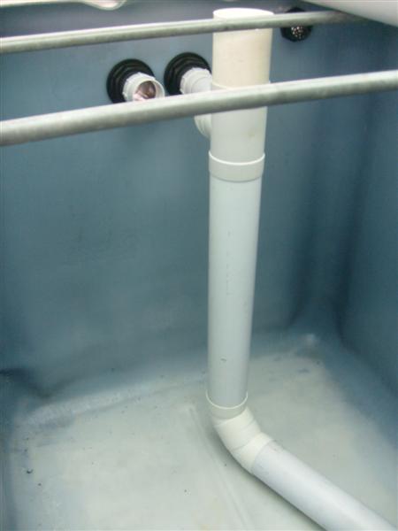 S6303082 (Medium).JPG