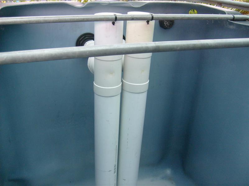 S6303084 (Medium).JPG