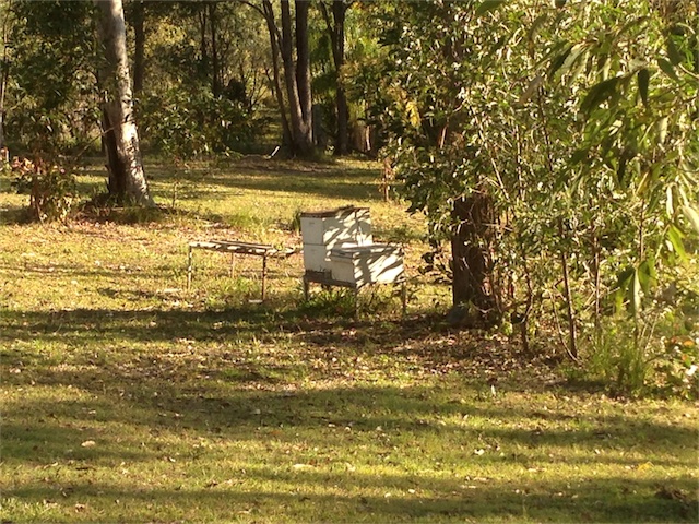 Stables 23.08.13_003.jpeg