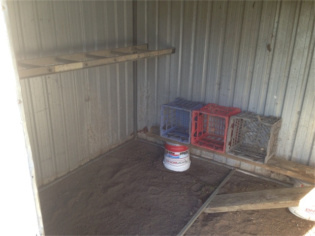 Chook Pen 25.08.13_001.jpeg