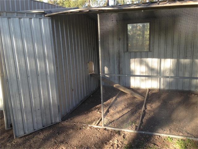 Chook Pen 25.08.13_002.jpeg
