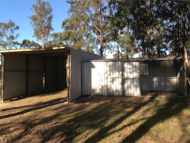 Chook Pen 25.08.13_003.jpeg