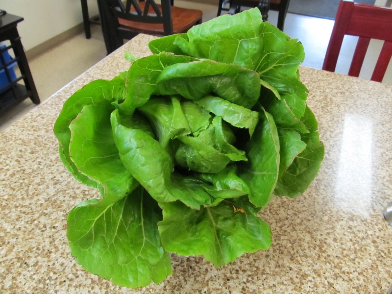 aqua sat 011 (800x600).jpg