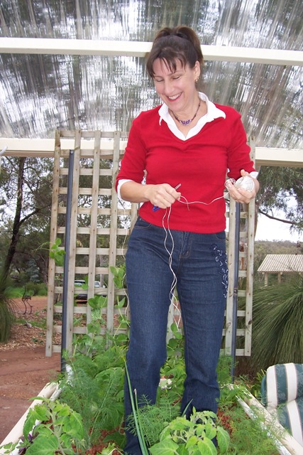 tying up the tomatoes.jpg