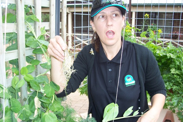 what have we here.jpg