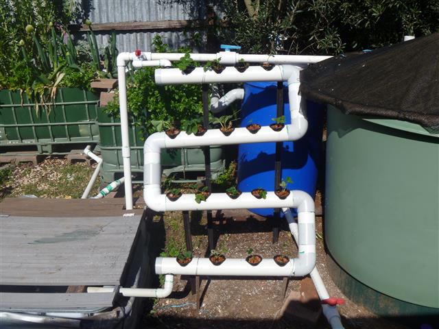 P1010419 (Small).JPG