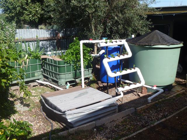 P1010421 (Small).JPG