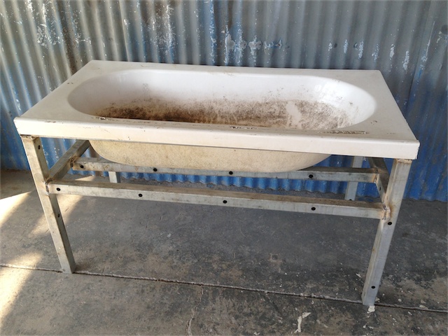 Duck Weed & DWC Progress_001.jpeg