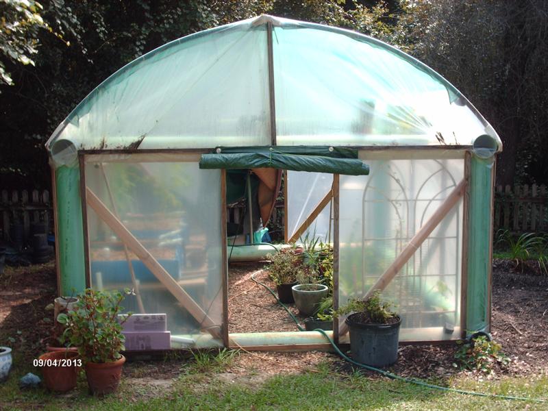 Green house 093 (Medium).jpg