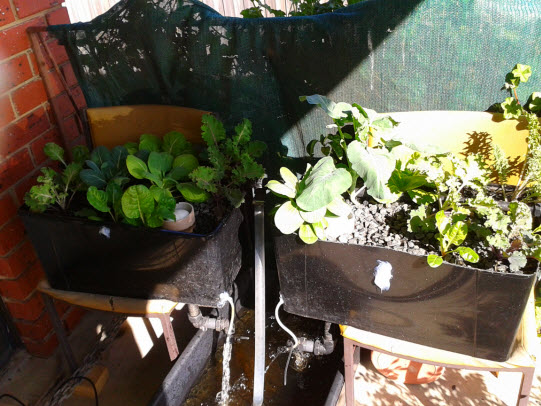 2013-09-07 10.02.08.gif.jpg