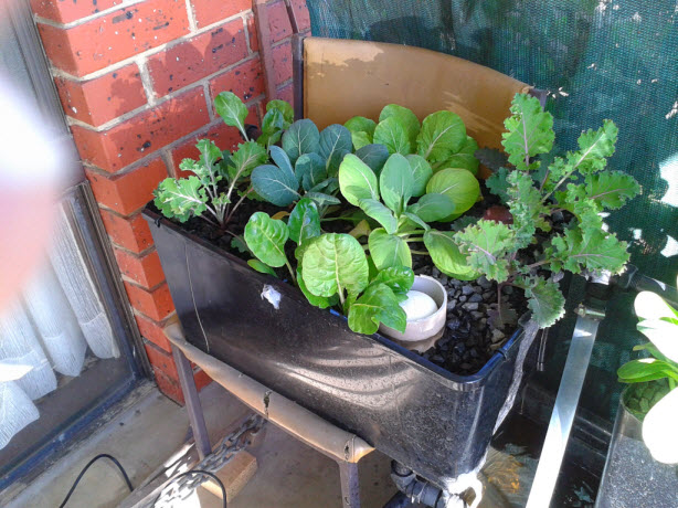 2013-09-07 10.02.24.gif.jpg