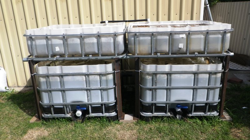 aquaponic forum 001.jpg