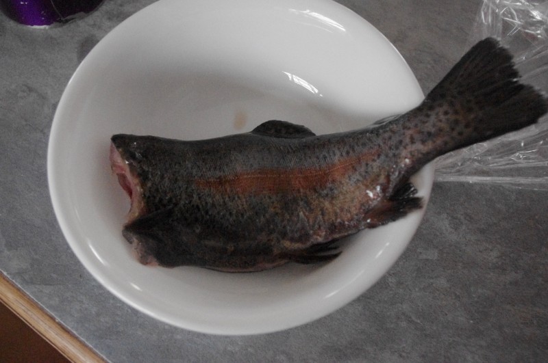 IMGP3054 (Custom).JPG