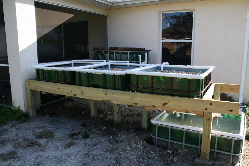 IMG_6705 800x600.jpg