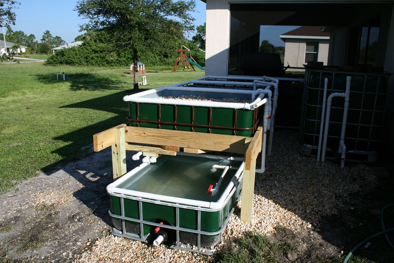 IMG_6703 800x600.jpg