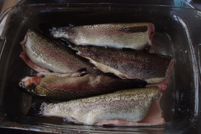 IMGP3056 (Custom).JPG