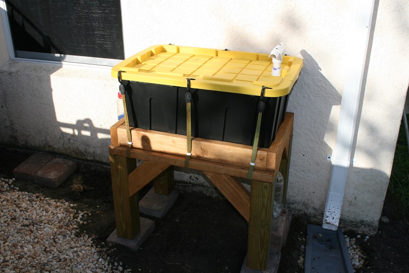 IMG_6735 800x600.jpg