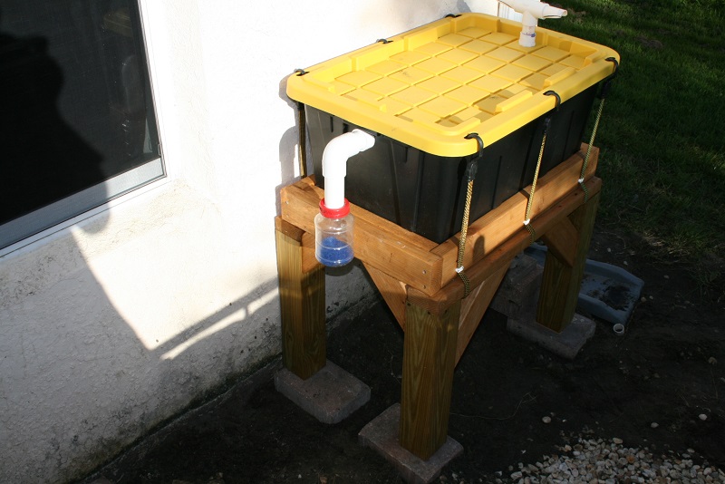 IMG_6736 800x600.jpg