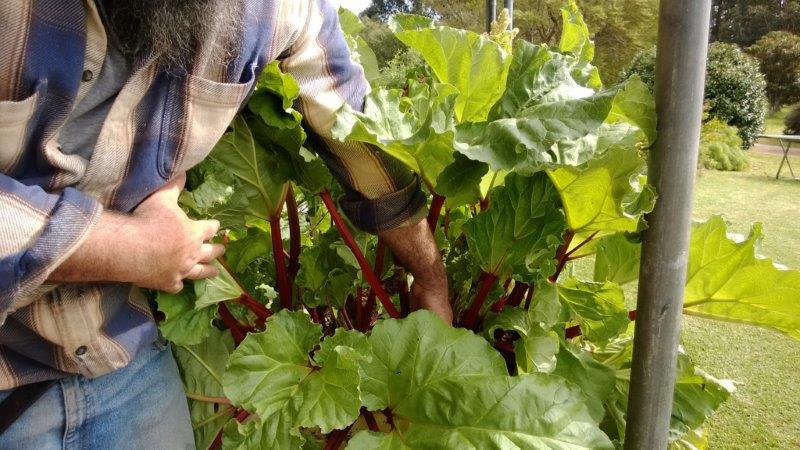 WP_20130912_001 (2).jpg