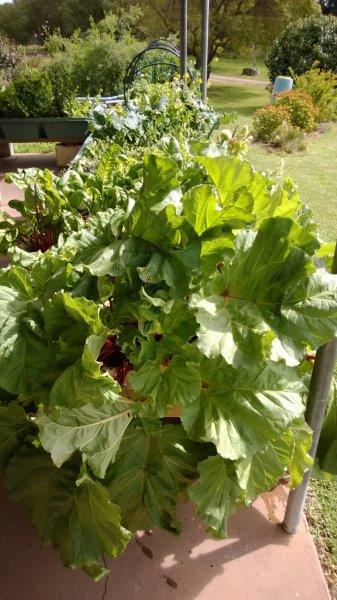 WP_20130912_006 (2).jpg