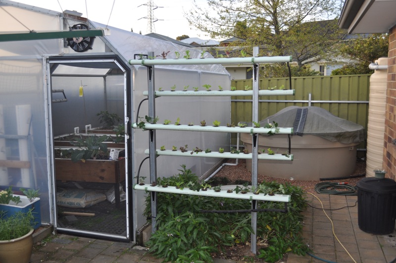 strawberry tower.jpg