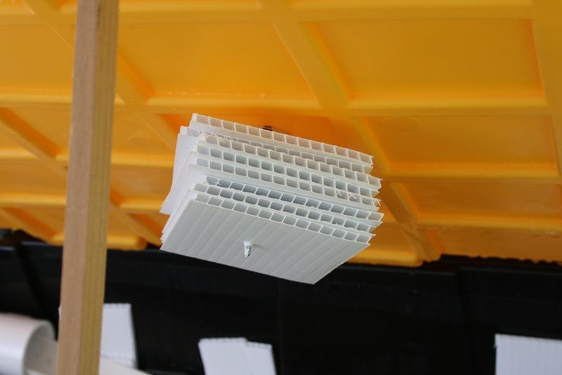 IMG_6742 800x600.jpg