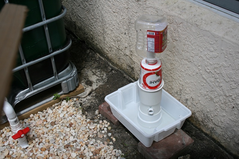 IMG_6743 800x600.jpg