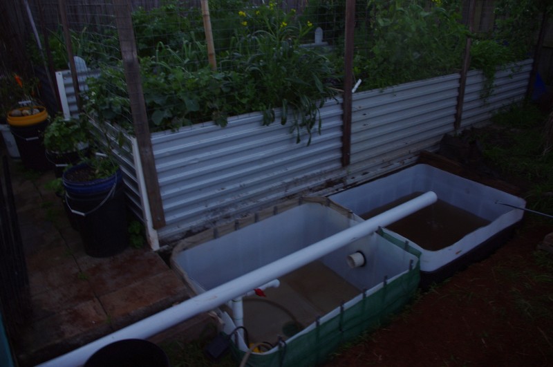 IMGP3058 (Custom).JPG