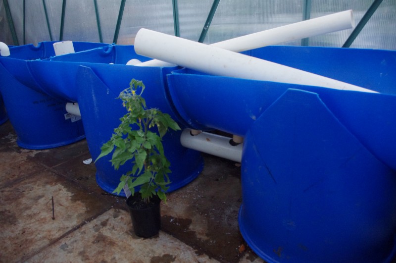 IMGP3061 (Custom).JPG