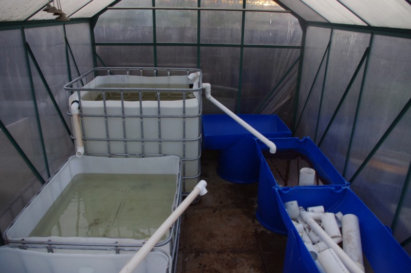 IMGP3062 (Custom).JPG