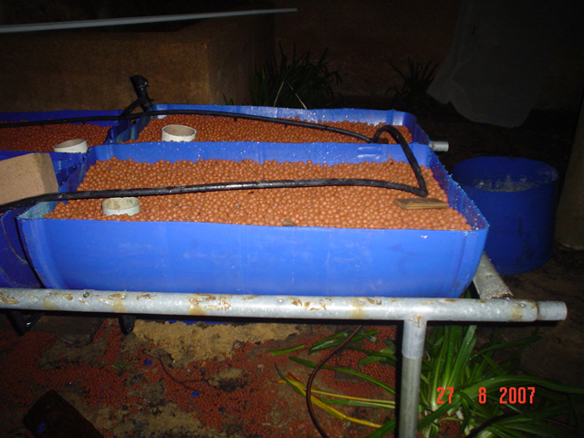 Drum Ponic Growbeds on trampoline frame.jpg