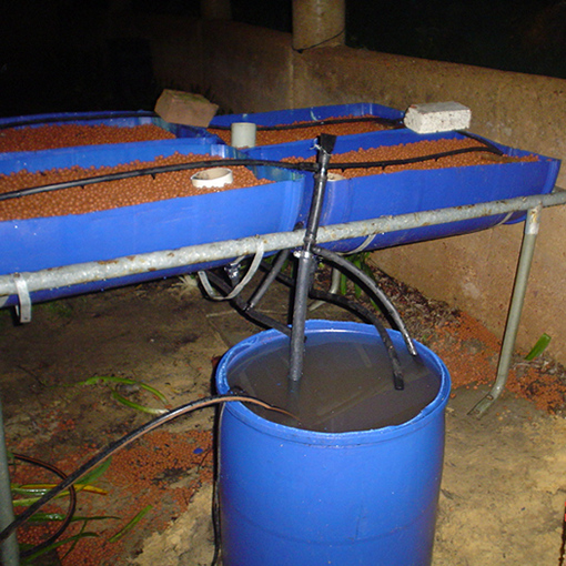 Drum Ponic sump tank and growbeds.jpg