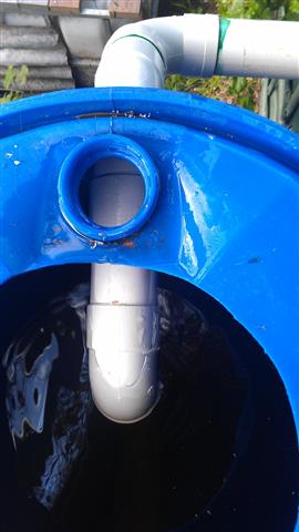 IMAG0333 (Small).jpg