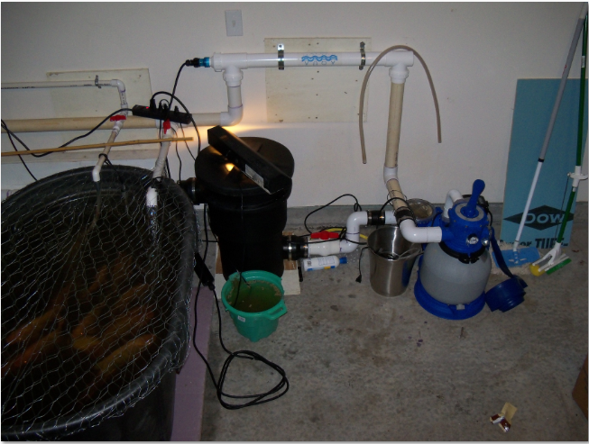 filtration system.PNG