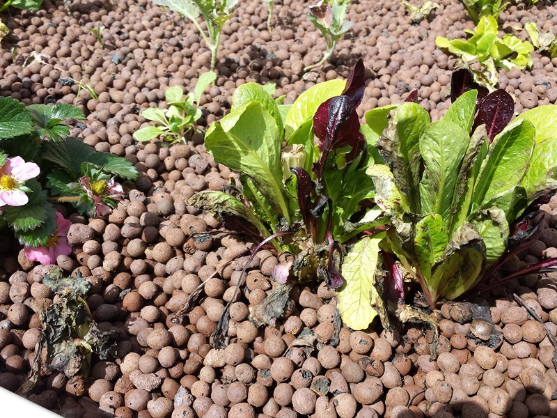 2013-09-21 12.16.10 [800x600].jpg