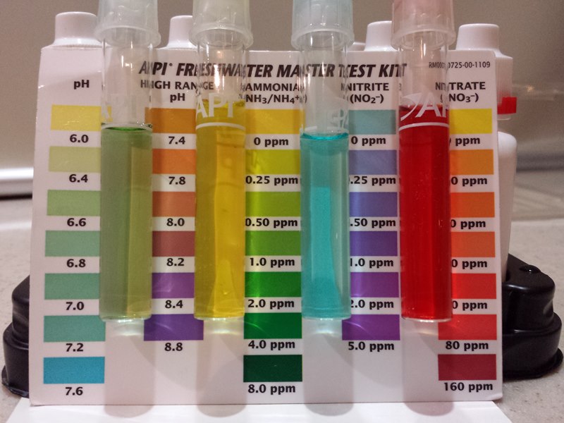 2013-09-21 19.52.47 [800x600].jpg