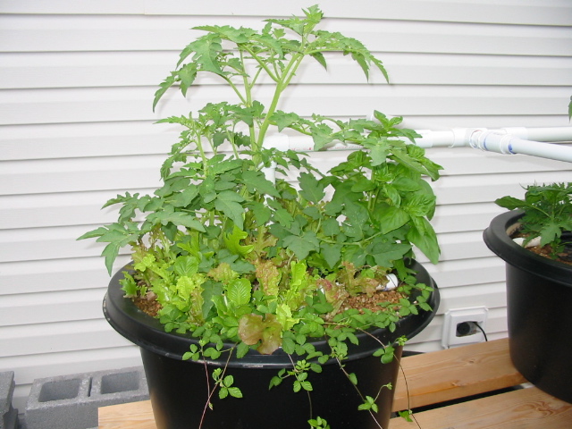 Round Bed 1 Sep 1.JPG