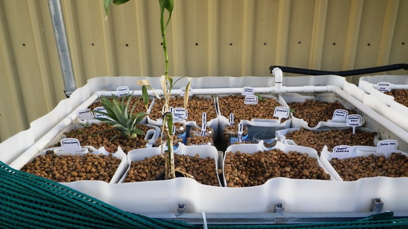 Aquaponic forum 005.jpg