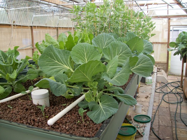 100_0407 (Small).JPG