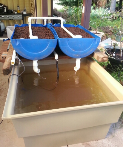 BBS Day 1 30092013.jpg