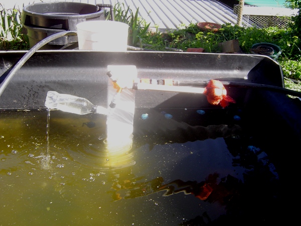 outer flouter 002.jpg