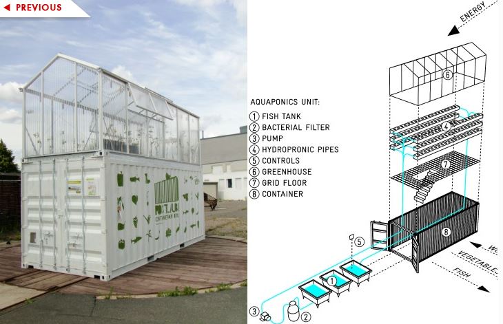 shipping container aquaponics.jpg
