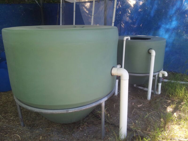 Backyard Aquaponics filter.jpg