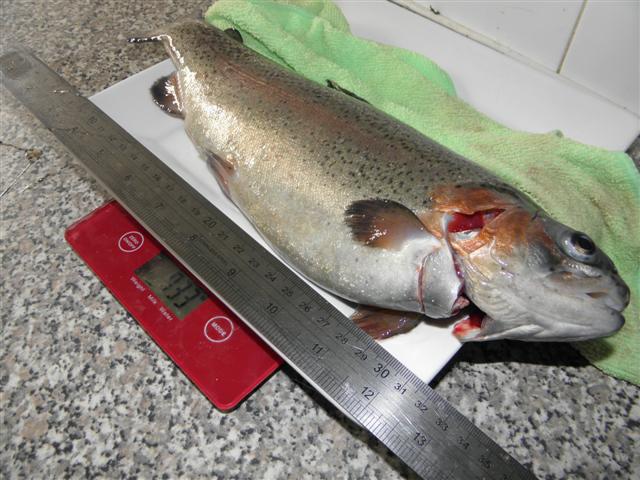 PA050100 (Small).JPG