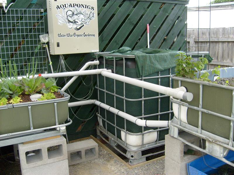 S6303149 (Medium).JPG