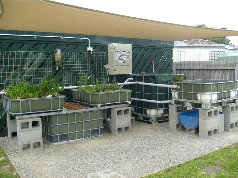 S6303143 (Medium).JPG