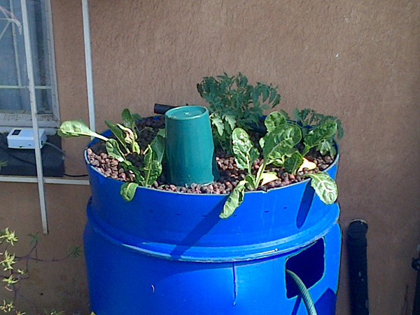 IMG-20130908-00207 edit.jpg