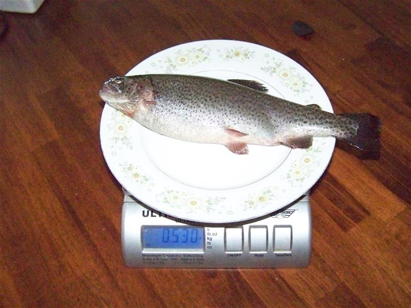 100_7640 (Custom).JPG