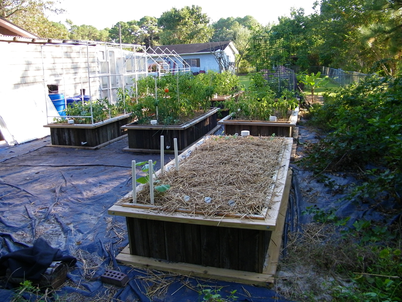 7th wicking bed 10-6-2013.jpg