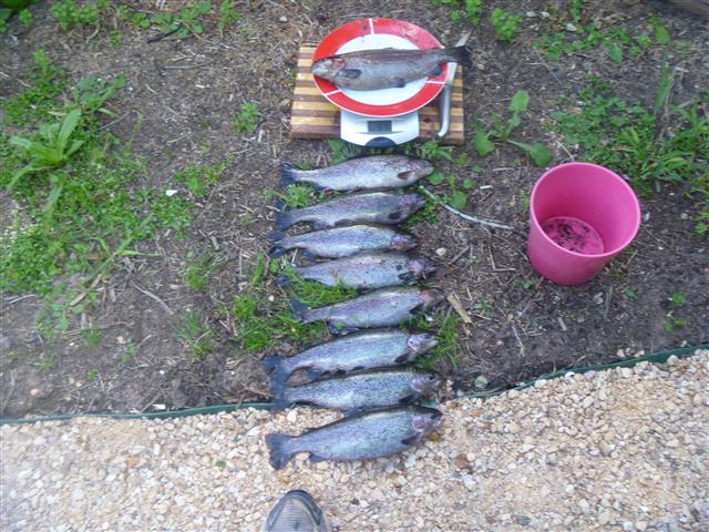 P1010451 (Small).JPG